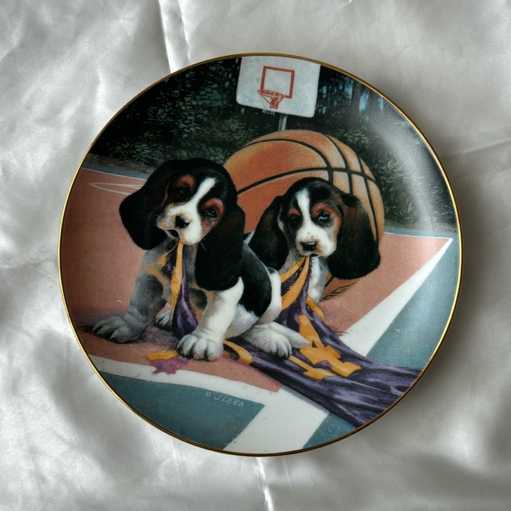 Bassetball 🏀🍽️ Jim Lamb / Good Sports